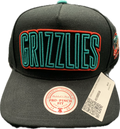 Vancouver Grizzlies Snapback